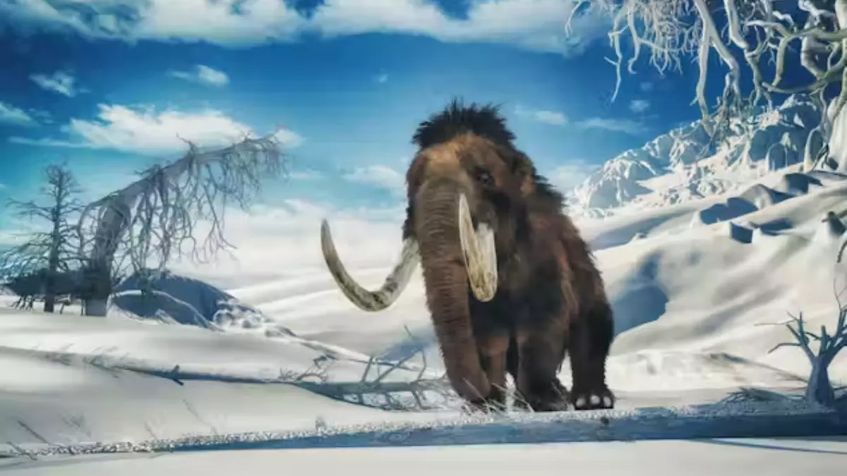 Progresso em direção à extinção do mamute